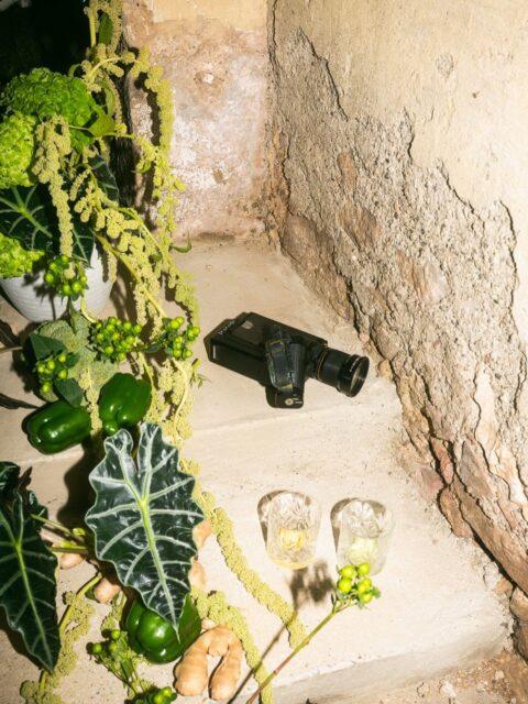 Milujeme túto veggie aestethic na svadbách!
Je to iné, je to drzé, je to hravé🫑🍐🥬🌿
Cabbagecore weddings sú aj v nadchádzajúcej svadobnej sezóne 2026 veľkým trendom✨
Cabbagecore svadby, často označované aj ako „Cabbage Crush“ alebo „Plant-Forward“ dizajn, sú svadobným trendom roku 2026, ktorý oslavuje zeleninu, organické tvary a nostalgickú záhradnú estetiku. Tento hravý a ekologicky uvedomelý štýl zahŕňa použitie surových hláv kapusty, kelu, brokolice a iných hlúbovín ako sochárskych dekorácií, čím sa odkláňa od tradičných, čisto kvetinových aranžmánov. 
Nám práve tento štýl skvele zapadol do celkovej estetiky svadby Kristínky a Ruya v Haggenbergu a ešte viac podčiarkol uvoľnenú atmosféru rodinného obeda pri jednom dlhom stole.

A čo vy? Išli by ste do toho?🥦

.

We love this veggie aesthetic at weddings!
It’s different, it’s bold, it’s playful 🫑🍐🥬🌿

Cabbagecore weddings are also a big trend for the upcoming 2026 wedding season ✨

Cabbagecore weddings, often referred to as “Cabbage Crush” or “Plant-Forward” design, are a 2026 wedding trend that celebrates vegetables, organic shapes, and a nostalgic garden aesthetic. This playful, eco-conscious style involves using raw cabbage heads, kale, broccoli, and other brassicas as sculptural décor, breaking away from traditional, all-floral arrangements.

For us, this style fit perfectly into the overall aesthetic of Kristínka and Ruy’s wedding in Haggenberg and further enhanced the relaxed atmosphere of a family-style lunch at one long table.

What about you? Would you go for it?🥦